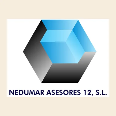 Logotipo de Nedumar Asesores